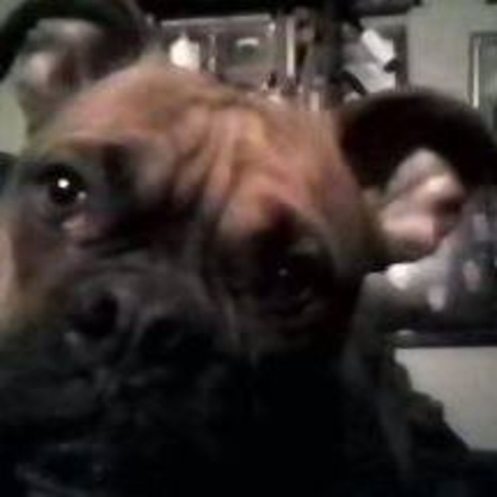 Meet your Posher, Stephenie